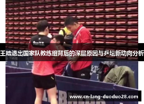 王皓退出国家队教练组背后的深层原因与乒坛新动向分析 王皓退出国家队教练组背后的深层原因与乒坛新动向分析