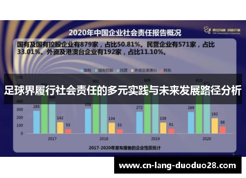 足球界履行社会责任的多元实践与未来发展路径分析
